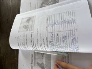 งานที่ตรวจแล้ว